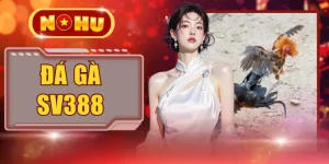 Đá Gà SV388 - Trực Tiếp Cựa Sắc Mới Nhất Và Tỷ Lệ Cược Cao
