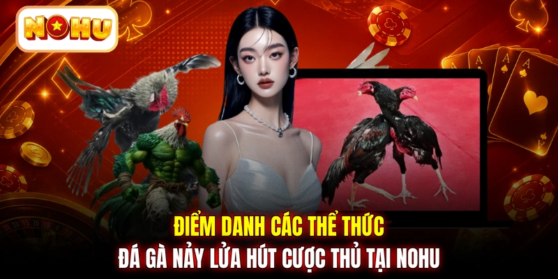 Điểm danh các thể thức đá gà nảy lửa hút cược thủ tại NOHU