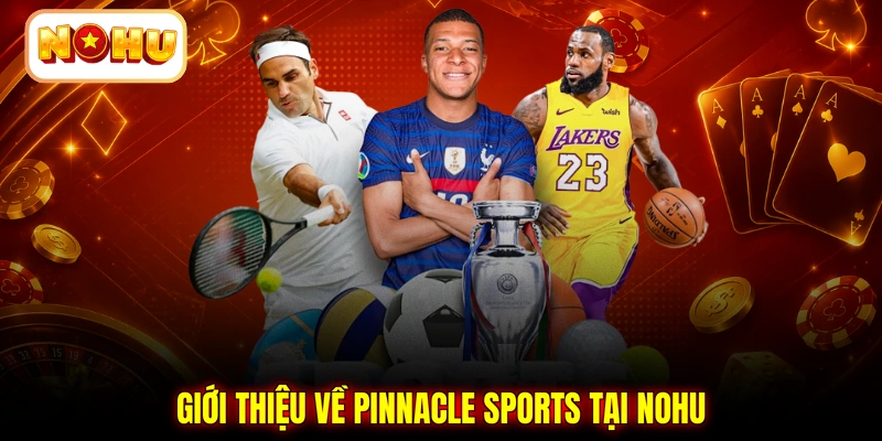 Giới thiệu về Pinnacle Sports tại NOHU