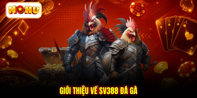 Giới thiệu về SV388 đá gà