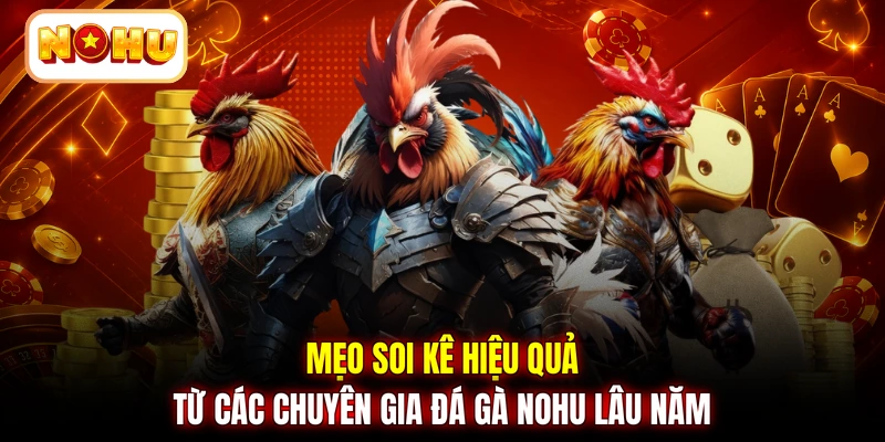 Mẹo soi kê hiệu quả từ các chuyên gia đá gà NOHU lâu năm