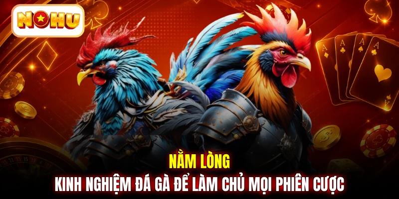 Nằm lòng kinh nghiệm đá gà để làm chủ mọi phiên cược