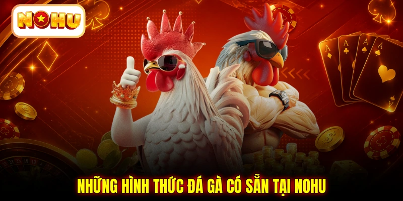 Những hình thức đá gà có sẵn tại NOHU