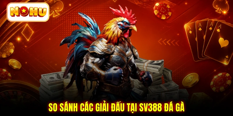 So sánh các giải đấu tại SV388 đá gà