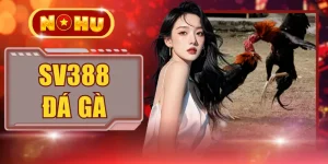 SV388 Đá Gà Thomo - Đỉnh Cao Cá Cược Kê Đấu Trực Tuyến 2026